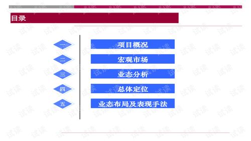 世聯(lián)重慶大型旅游地產(chǎn)項(xiàng)目策劃咨詢(xún)報(bào)告